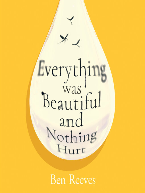 Cover image for Everything Was Beautiful and Nothing Hurt